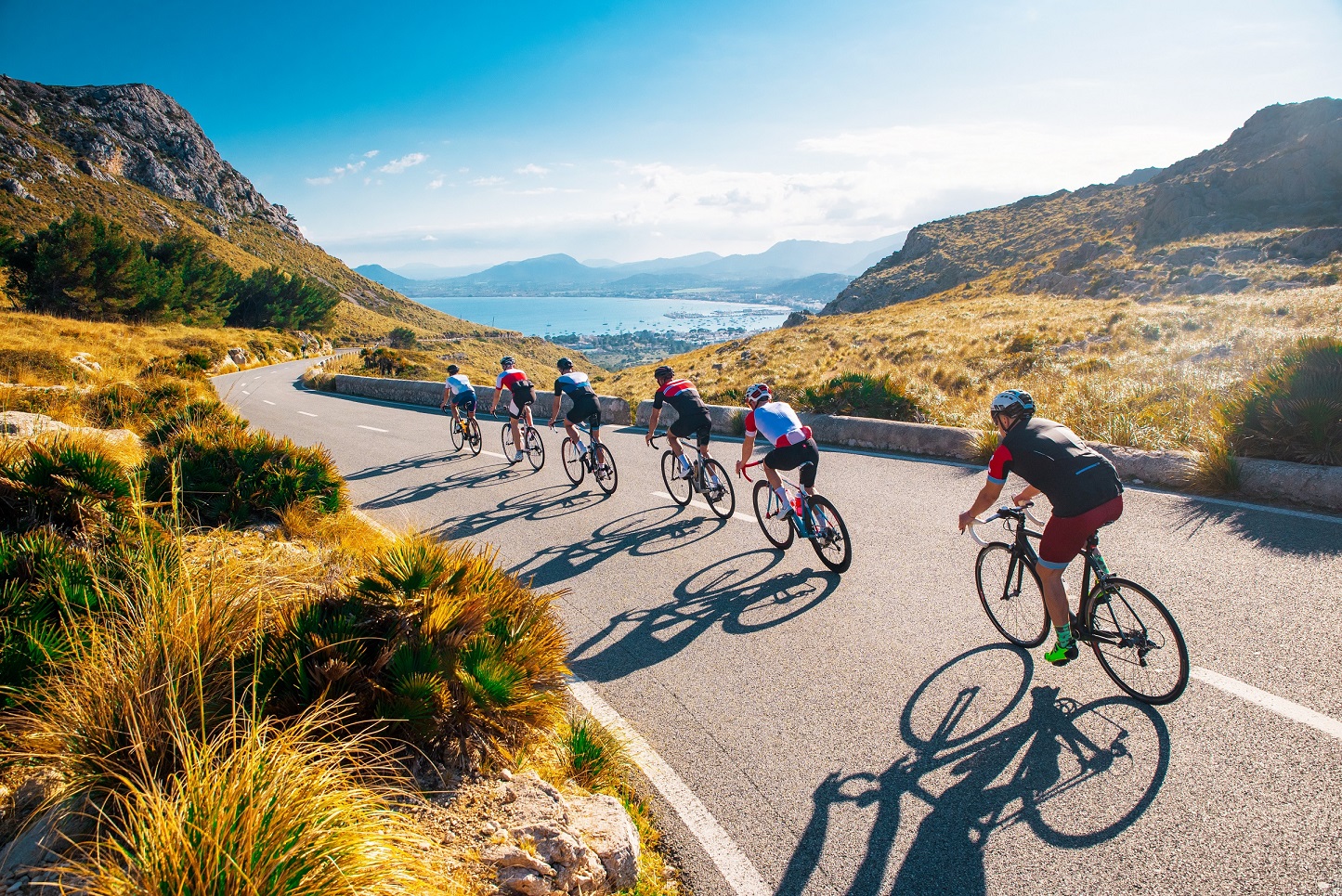 cyclists in a paceline